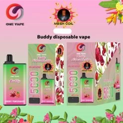 5000 Puffs One Vape Buddy Disposable Vape Mesh Coil Cherry Pomegranate